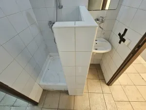 Pronájem obchodního prostoru, Praha, Braunerova, 67 m2