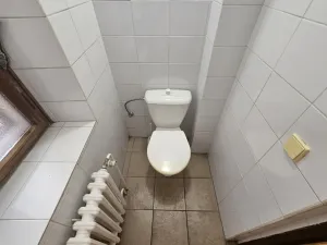 Pronájem obchodního prostoru, Praha, Braunerova, 67 m2