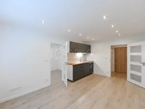 Prodej bytu 2+kk, Praha - Krč, Hurbanova, 39 m2