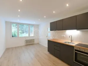 Prodej bytu 2+kk, Praha - Krč, Hurbanova, 39 m2