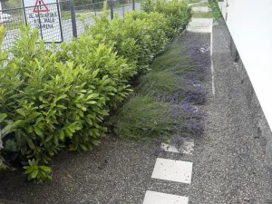 Pronájem bytu 2+kk, Nové Město na Moravě, Soškova, 54 m2