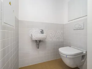 Pronájem bytu 3+kk, Praha - Libeň, Drahobejlova, 64 m2