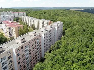 Prodej bytu 2+1, Brno, Voříškova, 52 m2