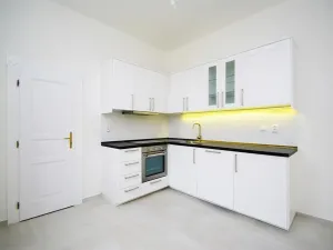 Pronájem bytu 1+1, Praha - Vinohrady, Mánesova, 47 m2