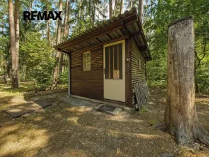 Pronájem chaty, Doksy, Dalibora z Myšlína, 40 m2
