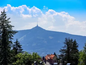 Prodej vily, Liberec, Lesní, 400 m2
