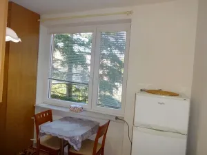 Pronájem bytu 2+1, Brno, Studená, 54 m2