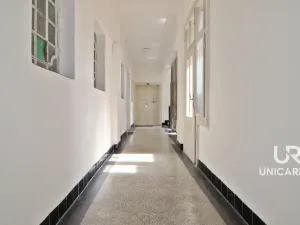 Prodej bytu 3+1, Brno - Veveří, Kounicova, 120 m2