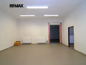 Pronájem obchodního prostoru, Brněnec, 238 m2