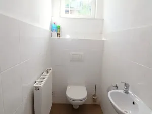 Pronájem obchodního prostoru, Brněnec, 238 m2