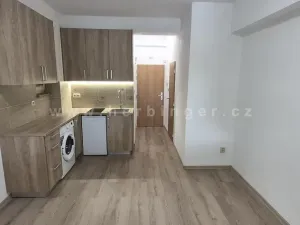 Pronájem bytu 1+kk, Ostrava - Poruba, Čs. exilu, 18 m2