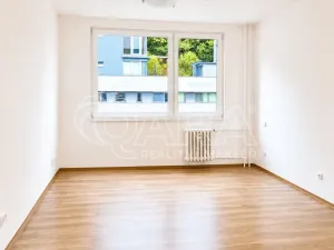 Prodej bytu 1+kk, Praha - Hodkovičky, Pod lysinami