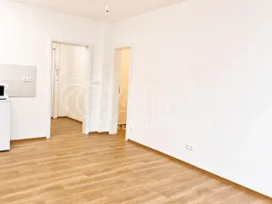 Prodej bytu 1+kk, Praha - Hodkovičky, Pod lysinami