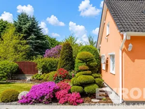 Prodej rodinného domu, Nová Ves pod Pleší, Průběžná, 298 m2