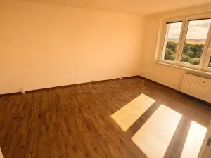 Pronájem bytu 1+1, Ostrov, Kollárova, 38 m2