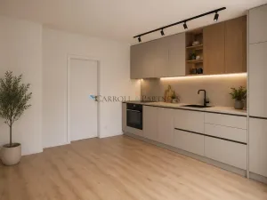 Pronájem bytu 1+kk, Ostrava - Hrabůvka, Provaznická, 30 m2
