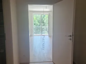 Pronájem bytu 1+kk, Ostrava - Hrabůvka, Provaznická, 30 m2