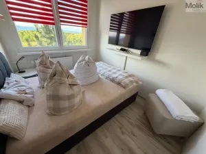 Prodej bytu 3+1, Most, Růžová, 55 m2