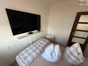 Prodej bytu 3+1, Most, Růžová, 55 m2