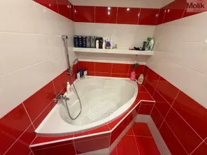 Prodej bytu 3+1, Most, Růžová, 55 m2