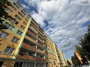 Prodej bytu 3+1, Most, Růžová, 55 m2
