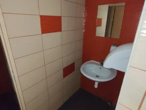 Pronájem obchodního prostoru, Litovel, Vítězná, 248 m2