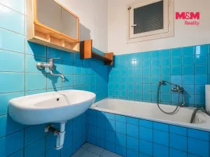 Prodej bytu 2+1, Všemyslice - Neznašov, 70 m2