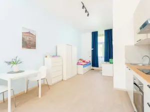 Pronájem bytu 1+kk, Planá, Karlín, 30 m2