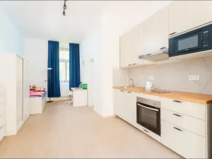 Pronájem bytu 1+kk, Planá, Karlín, 30 m2