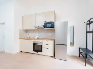Pronájem bytu 1+kk, Planá, Karlín, 30 m2