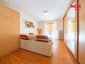 Pronájem bytu 1+1, Horní Slavkov, Dlouhá, 49 m2