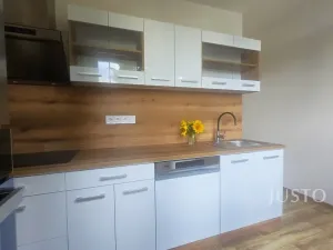 Pronájem bytu 2+1, Písek - Budějovické Předměstí, Dr. M. Horákové, 54 m2