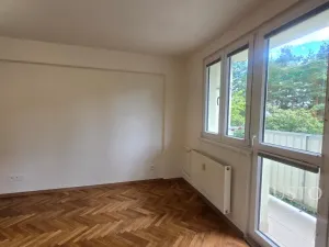 Pronájem bytu 2+1, Písek - Budějovické Předměstí, Dr. M. Horákové, 54 m2
