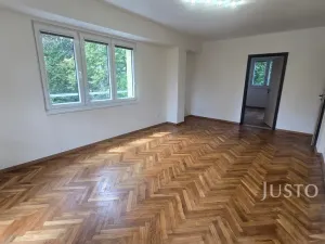 Pronájem bytu 2+1, Písek - Budějovické Předměstí, Dr. M. Horákové, 54 m2