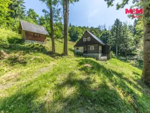 Prodej chalupy, Rokytnice nad Jizerou - Hranice, 120 m2