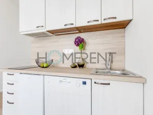 Pronájem bytu 1+kk, Praha - Vysočany, Kolmá, 19 m2