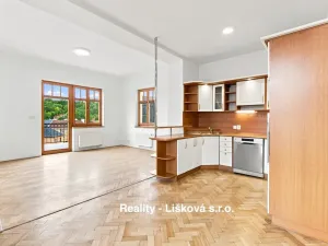 Pronájem bytu 4+kk, Ústí nad Labem - Klíše, Beethovenova, 152 m2