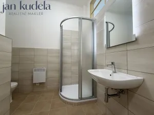 Pronájem bytu 1+1, Brno, Čápkova, 43 m2