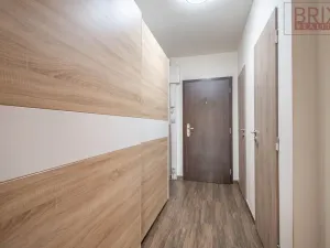 Pronájem bytu 2+kk, Praha, Drimlova, 43 m2