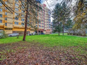 Pronájem bytu 3+1, Chomutov, Bezručova, 75 m2