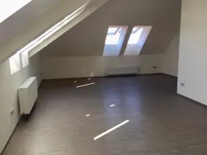 Pronájem bytu 2+kk, Praha - Žižkov, Štítného, 49 m2
