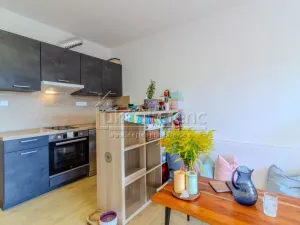 Pronájem bytu 1+kk, Slaný, Lázeňská, 37 m2
