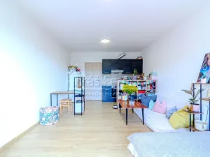 Pronájem bytu 1+kk, Slaný, Lázeňská, 37 m2