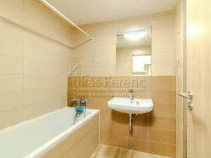 Pronájem bytu 1+kk, Slaný, Lázeňská, 37 m2
