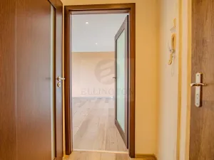 Prodej bytu 1+kk, Praha - Michle, Podle Kačerova, 29 m2