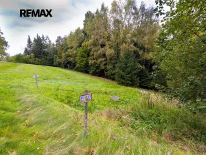 Prodej louky, Orličky, 61702 m2