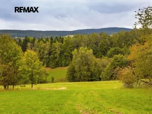 Prodej louky, Orličky, 61702 m2