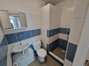 Pronájem obchodního prostoru, Ostrava - Mariánské Hory, Bendlova, 165 m2