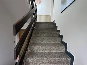 Prodej vícegeneračního domu, Veselí nad Lužnicí, K. H. Máchy, 350 m2