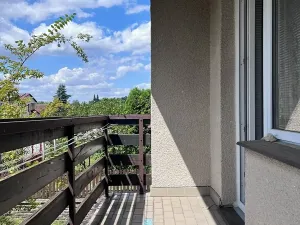 Prodej vícegeneračního domu, Veselí nad Lužnicí, K. H. Máchy, 350 m2